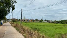 Land for sale in Nong Chang, Uthai Thani
