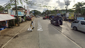 Land for sale in San Pedro, Palawan