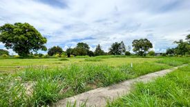 Land for sale in Lumira NUVALI, Canlubang, Laguna