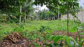 Land for sale in Bongbong, Negros Oriental