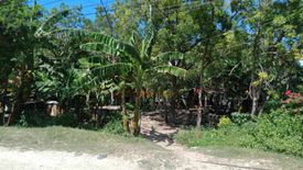 Land for sale in Marigondon, Cebu