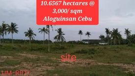 Land for sale in Olango, Cebu