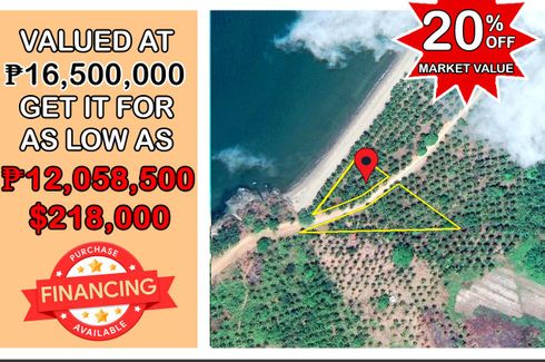 Land for sale in Aporawan, Palawan