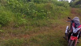 Land for sale in Estrella Village, Palawan