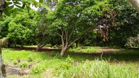 Land for sale in Sinuagan, Iloilo