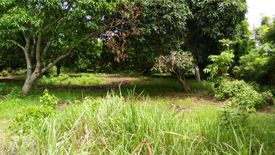 Land for sale in Sinuagan, Iloilo