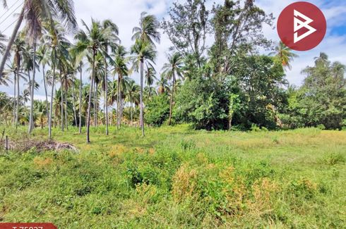 Land for sale in Thap Sakae, Prachuap Khiri Khan