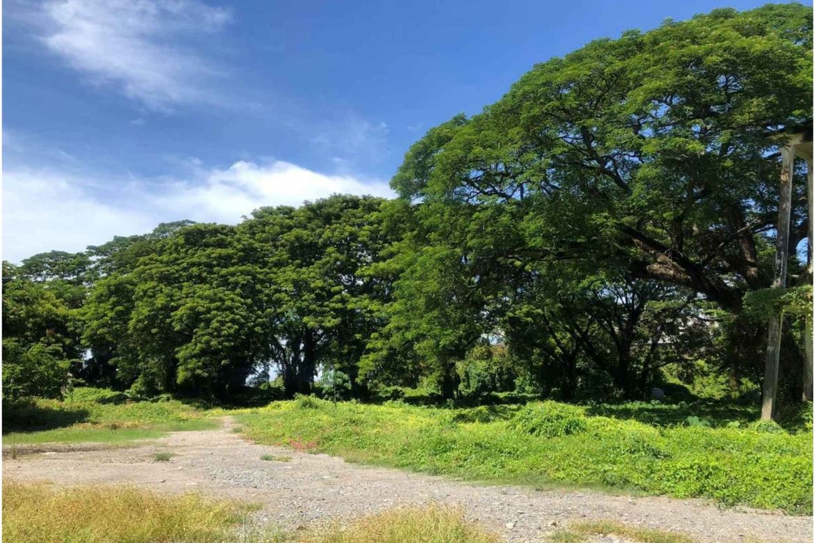 Lot For Sale in Brgy. Carlatan, San Fernando, La Union 📌 Land for sale