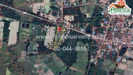 Land for sale in Nong Chang, Kalasin