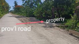 Land for sale in Maya, Cebu