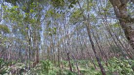 Land for sale in Phluang, Chanthaburi