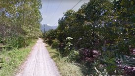 Land for sale in Phluang, Chanthaburi