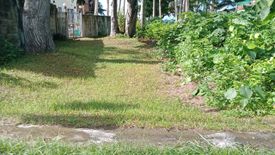 Land for sale in Cansayang, Siquijor