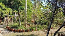 Land for sale in Cotcot, Cebu