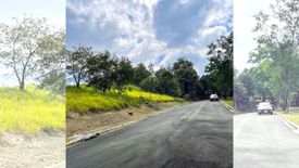 Land for sale in San Isidro, Rizal