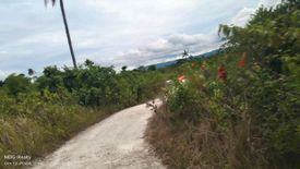 Land for sale in Tunga, Cebu
