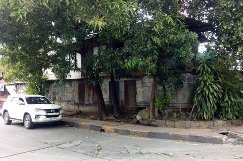 Land for sale in Bagong Ilog, Metro Manila