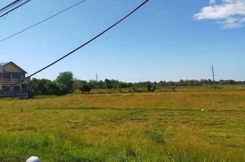 Land for sale in Tanaytay, Pangasinan