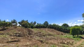 Land for sale in Toledo, Cavite
