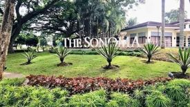 Land for Sale or Rent in The Sonoma, Don Jose, Laguna