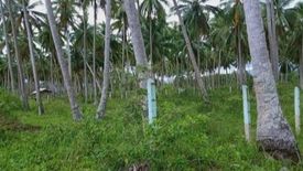 Land for sale in Poblacion, Palawan