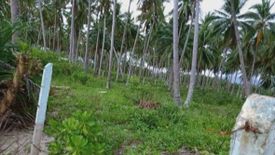 Land for sale in Poblacion, Palawan