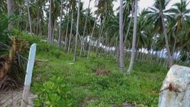 Land for sale in Poblacion, Palawan