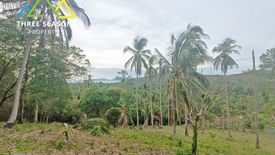 Land for sale in Bo Phut, Surat Thani