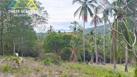 Land for sale in Bo Phut, Surat Thani