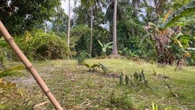 Land for sale in Mahabang Dahilig, Batangas