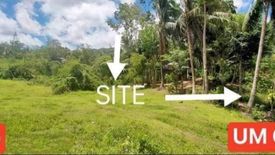 Land for sale in Bonbon, Cebu