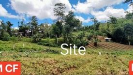 Land for sale in Bonbon, Cebu