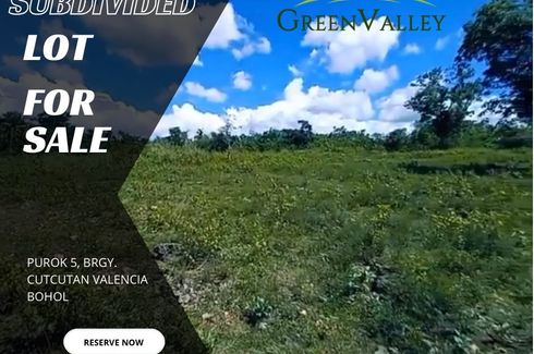 Land for sale in Poblacion Oriental, Bohol