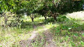 Land for sale in Barangay Ng Mga Mangingisda, Palawan