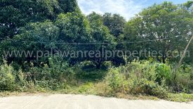 Land for sale in Barangay Ng Mga Mangingisda, Palawan