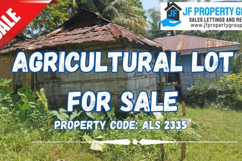 Land for sale in Lundag, Leyte