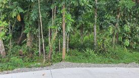 Land for sale in Zone IV, Oriental Mindoro