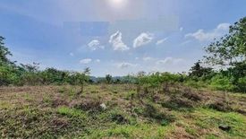 Land for sale in San Roque, Rizal