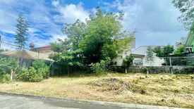 Land for sale in BF Homes, Metro Manila