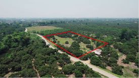 Land for sale in Chom Phu, Chiang Mai