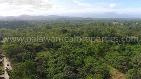 Land for sale in Luzviminda, Palawan