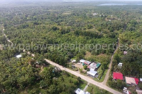 Land for sale in Luzviminda, Palawan