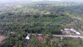 Land for sale in Luzviminda, Palawan
