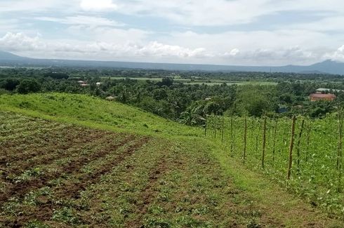 Land for sale in Wawa, Batangas