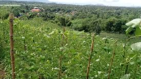 Land for sale in Wawa, Batangas