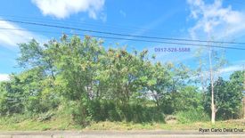 Land for sale in Dolores, Rizal