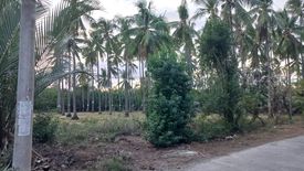 Land for sale in Casala-An, Negros Oriental
