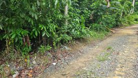 Land for sale in Olango, Cebu