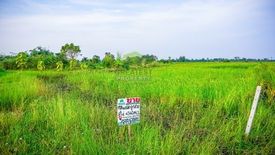 Land for sale in Wang Tako, Phetchaburi