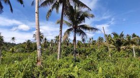 Land for sale in Buhing Calipay, Surigao del Norte